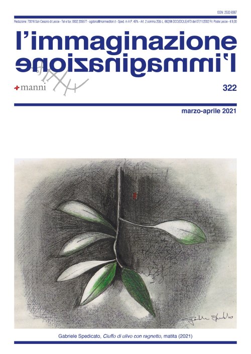 copertina immaginazione 322