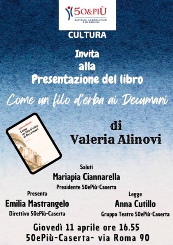 alinovi caserta